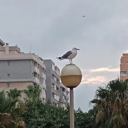 Apartamento Las Gondolas-tiziano La Manga del Mar Menor